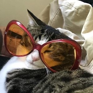 Meet your Posher, Ona